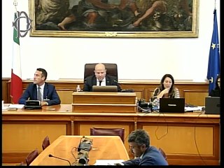 Roma - Audizione informale - Avv. Paolo Piacenza (16.09.25)