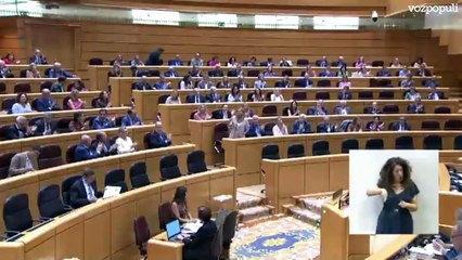 El PP acusa al Gobierno de "alimentar la violencia" para "tapar" los frentes judiciales que "acosan a Sánchez"