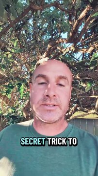 Secret trick to dealing with self pity