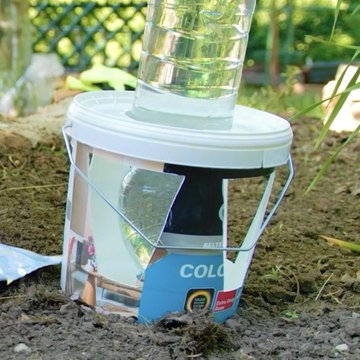 La façon la plus simple de garder les plantes en vie - Pas besoin d'arroser ! 💧