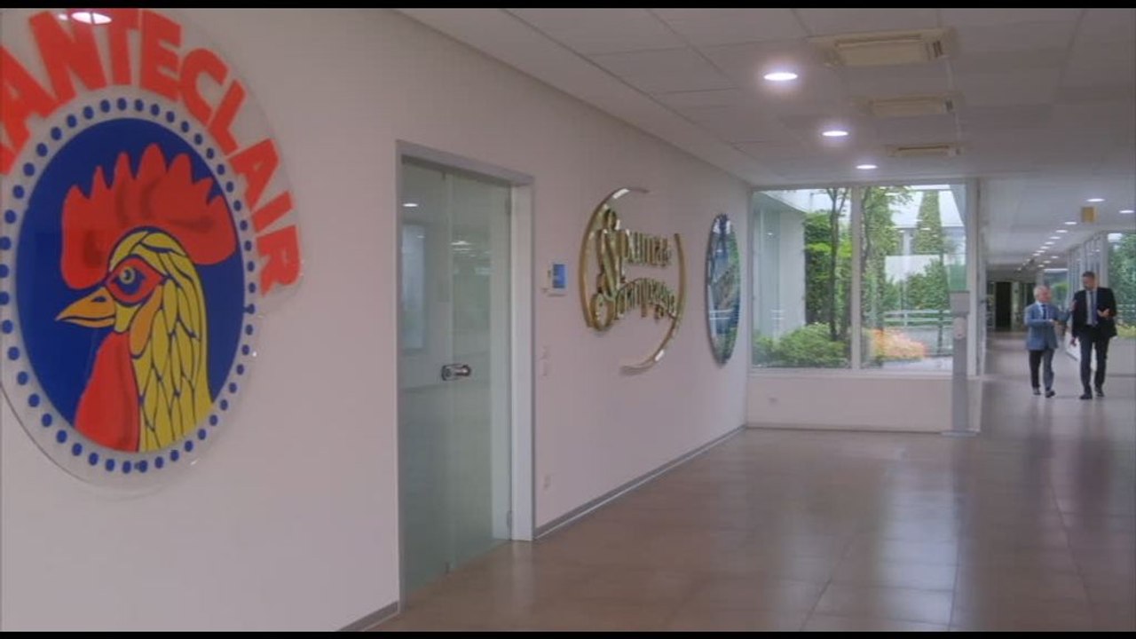 Il Gruppo DESA presenta il suo primo bilancio di sostenibilità