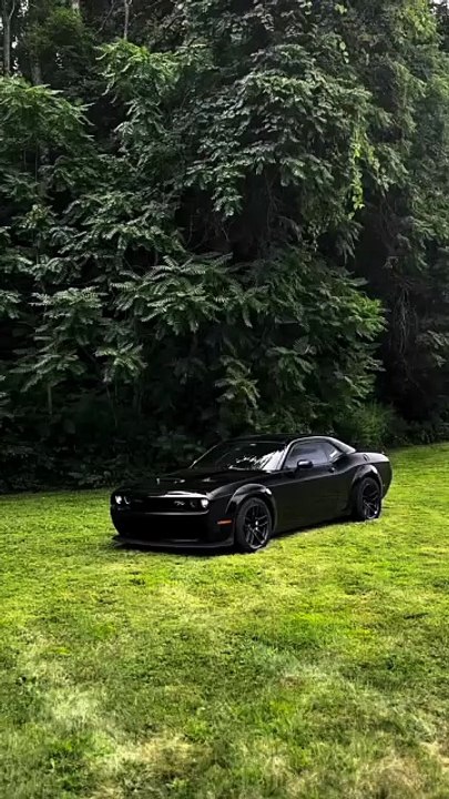 Hellcat #dodge #charger392 #car #cars#dodgeclub #fyp #viral