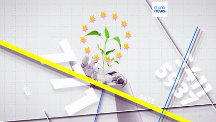 Rinnovabili, chi sta vincendo la corsa all'energia pulita nell'Ue