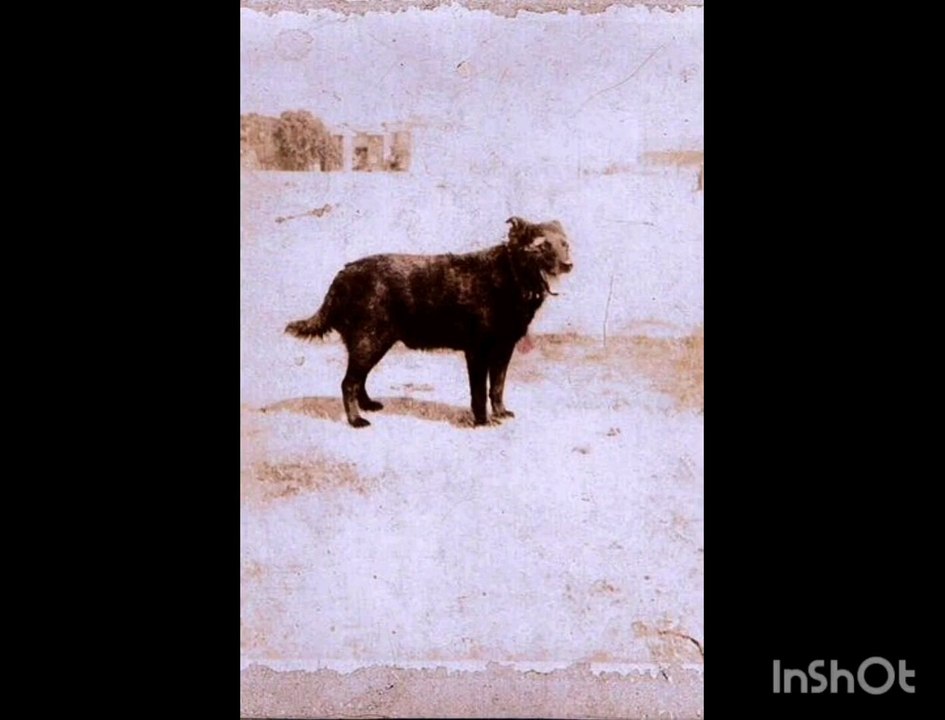 Their memory forever bright