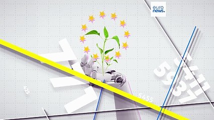 Ki nyeri a zöld energia-versenyt az EU-ban?