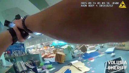 Florida Biblioteca 📚