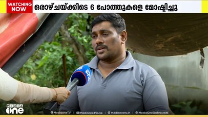 കോഴിക്കോട് പെരുമണ്ണയിൽ വളർത്തു പോത്തുകൾ മോഷണം പോകുന്നത് പതിവ്; കവർച്ച അർധരാത്രി