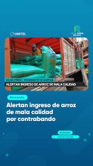 Alertan ingreso de arroz de mala calidad por contrabando
