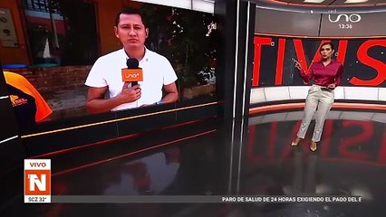 ATAQUE DE ABEJAS EN LA MOLIENDITA