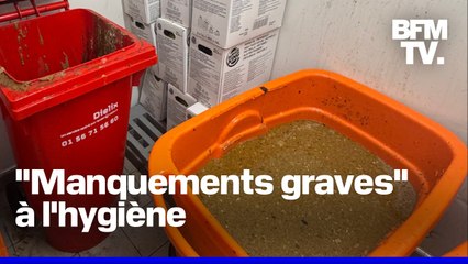 "Manquements graves à l'hygiène": un restaurant Burger King contraint de fermer en Franche-Comté