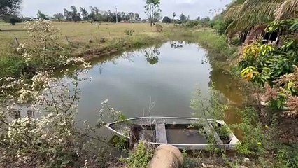 Urubus sobrevoam Pesqueiro Buscariollo, onde polícia fez novas buscas