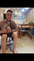 Chien : je sais qu'il mange, je ne peux pas le prouver, c'est un espion.