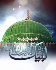 Jo puchha Nabi ﷺ ne Naat status