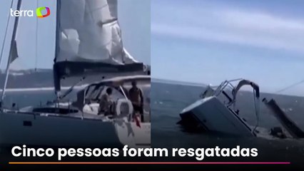 Orcas afundam veleiro com pessoas a bordo em Portugal