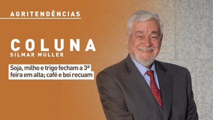Soja, milho e trigo fecham a 3ª feira em alta; café e boi recuam