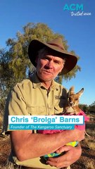 Save a joey, do it safely: Kangaroo Sanctuary’s plea