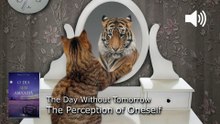 WP139. The Perception of Oneself