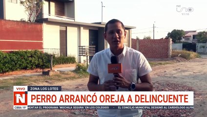 PERRO DEFIENDE A SU DUEÑA