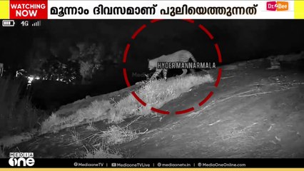 മണ്ണാർമലയിൽ തുടർച്ചയായ മൂന്നാം ദിവസവും പുലി... ഇന്നലെ രാത്രി 9:15നാണ് പുലിയെത്തിയത്