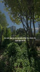 #BR3 #motivation #conseil #success #leçon (23)