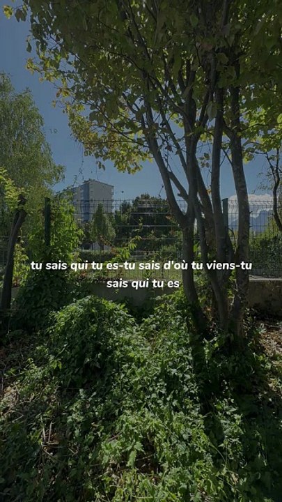 #BR3 #motivation #conseil #success #leçon (23)