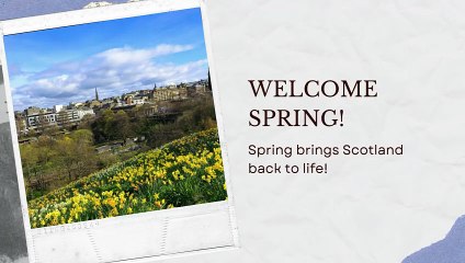 🏴 Why Scotland is a Must-Visit in Every Season! 🌍✨