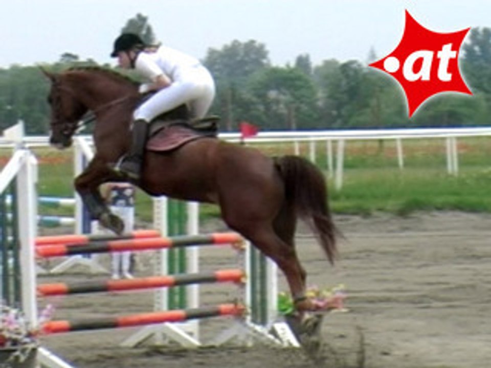 Sophia Dworzak, Springreiten, Kottingbrunn (2008-002)