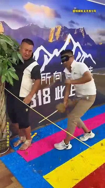 funny videos