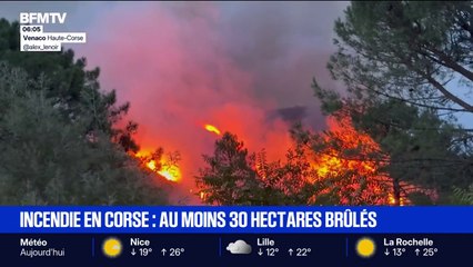 Au moins 30 hectares brûlés dans un incendie en Haute-Corse