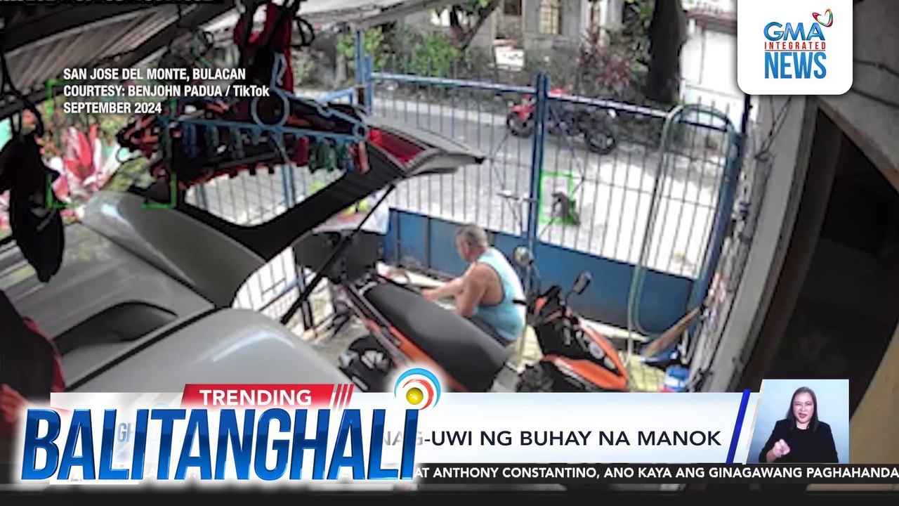 Alagang pusa, nag-uwi ng buhay na manok | Balitanghali