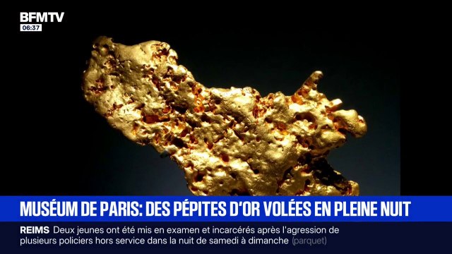 Le Muséum d'Histoire naturelle cambriolé à Paris, plusieurs pépites d'or dérobées