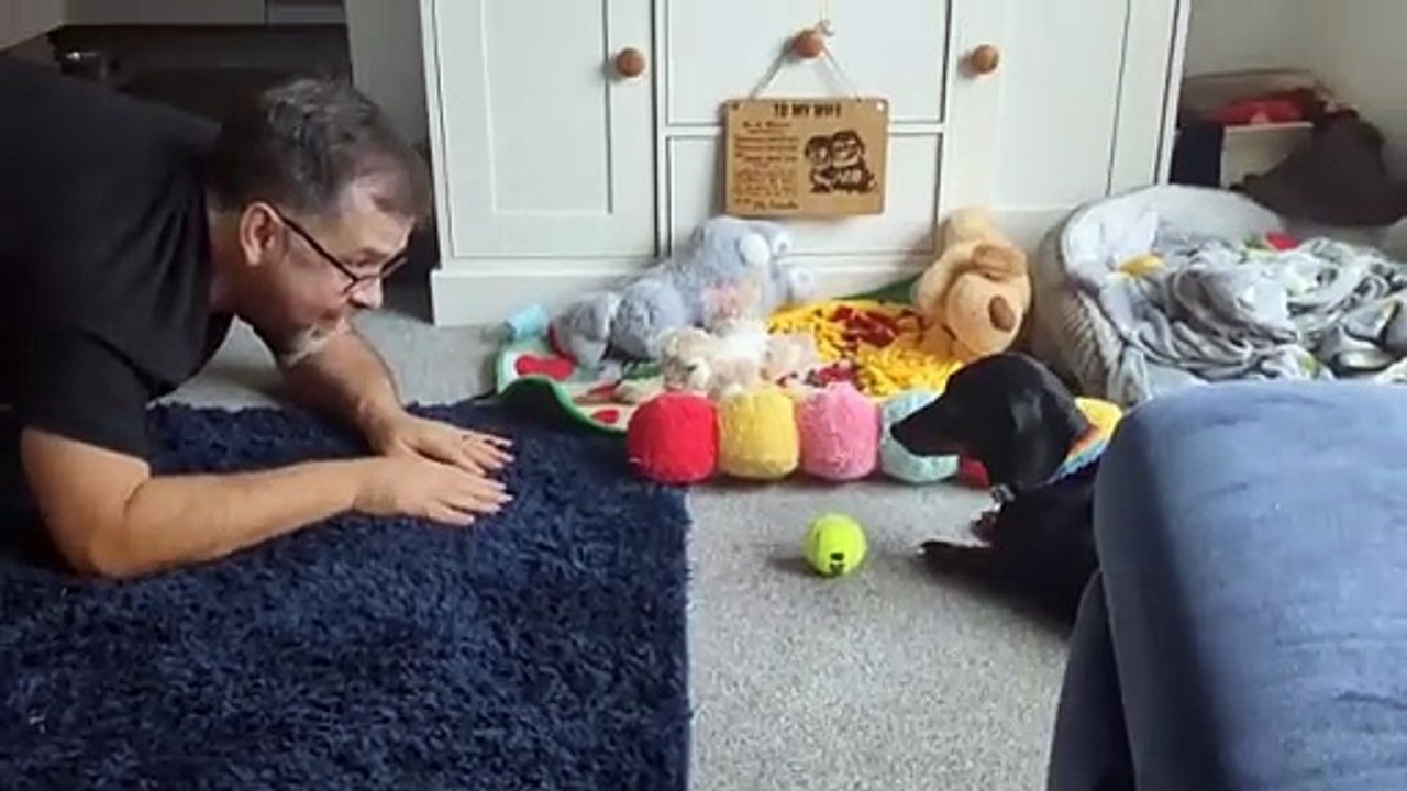 Dougal est d’humeur ludique… mais je voudrais savoir pourquoi ils font ce mouvement de bras qui swing ? Essaient‑ils de voler ou quoi alors ?