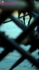 HER THRONE BUILT ON HIS LIES