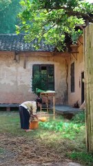 Superpower Baby Save Dying CEO With Just A Veggie—Didn’t Expect Catch His Attention,Take Her Home! - Full Drama Movies