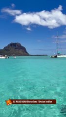 LE PLUS BEAU bleu dans l'Océan Indien