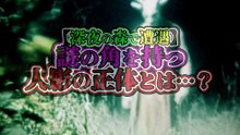 【深夜の森で遭遇】謎の角を持つ人影の正体とは…？