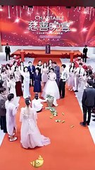 Bread Before Gold Full Movies