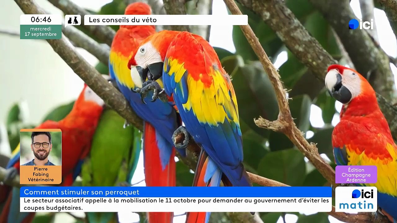 17/09/2025 - ici matin par ici Champagne-Ardenne en vidéo