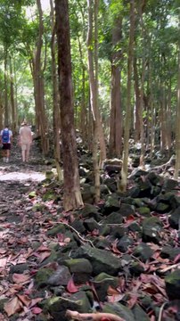 LES ROCHES VOLCANIQUES à Maurice