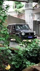 I Rise, You Fall  , That's the Rule (DUBBED) Full Movies