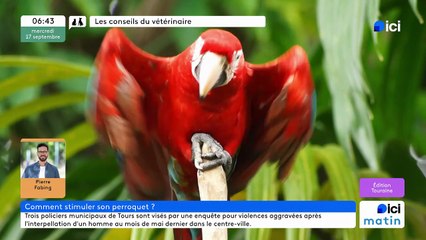 17/09/2025 - ici matin par ici Touraine