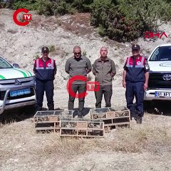 Kütahya'de ele geçirilen 142 saka kuşu doğaya salındı