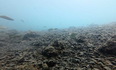 Fırat ve Dicle hakkında inanılmaz iddia: Altında 600 kayıp şehir var!