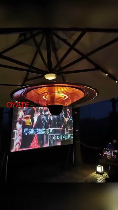 1000w carbon fiber heat lamp