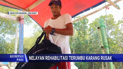 Kisah Nelayan Bentuk Komunitas Rehabilitasi Terumbu Karang di Karawang | KOMPAS PAGI