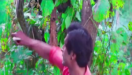 JUNGLEE (2019) Hindi.Untouched.WEB.DL.720p.AVCx264.AAC. (Superhit Bollywood Romantic Comedy Film And Movie) Vidyut Jammwal Bade Bhaiyaa,Asha Bhat,Pooja Sawant,Akshay Oberoi Bhaiyaa