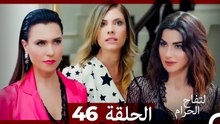 التفاح الحرام الحلقة ال 46 (Arabic Dubbed) HD - Final