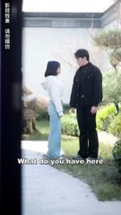 Delivery Girl Crashes Into A Luxury Car, And The Billionaire Falls In Love At First Sight! - Full Movies English Sub