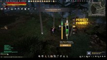 BDO SnowField Cedar Sap Gathering Guide/Rotation