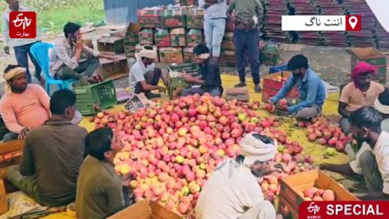 اننت ناگ کے اویس خان کا مثالی کارنامہ، اسکریپ سے بنایااسمارٹ ایپل گونڈولا، باغبانوں کے لئے کفائیتی، مزدوروں کے لئے راحت بخش